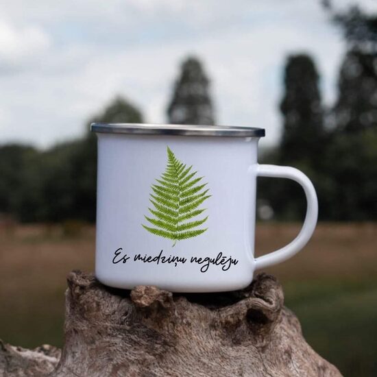  Es miedziņu negulēju